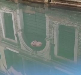 Огромные медузы обнаружены в каналах Венеции