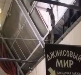 Неуклюжий кот-гимнаст сорвался с балки и повис под крышей рынка