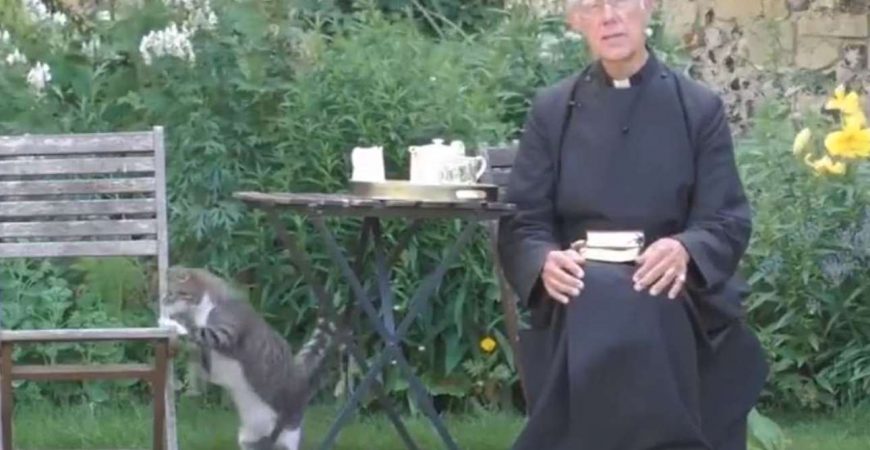 Кот-хулиган лишил завтрака священника во время молитвы
