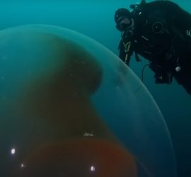 Подборка шокирующих находок, обнаруженных под водой