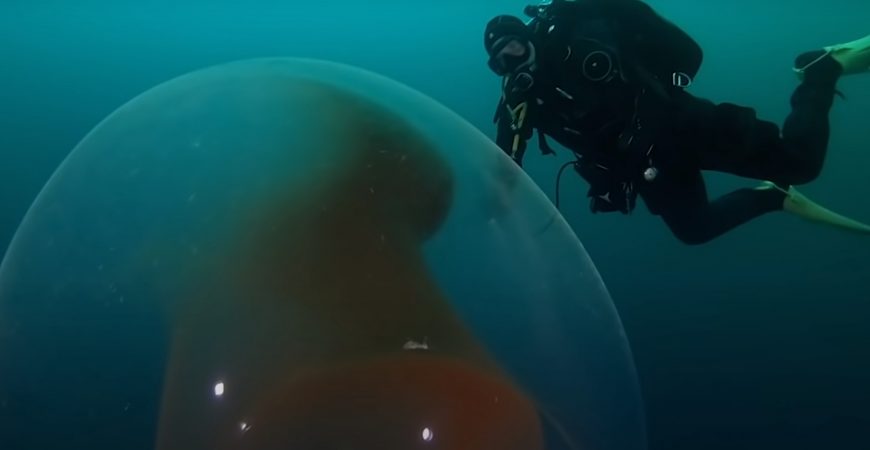 Подборка шокирующих находок, обнаруженных под водой