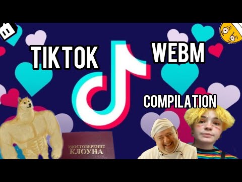 Лучшие видео из TikTok